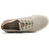 Sperry Mens Striper Knit(Grey)