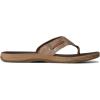 Sperry mens Baitfish ThongSandals(Brown)