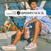 Sperry Men’s 6-Pack Loafer Socks, Non-Slip No Show Socks for Boat Shoes, Ultra Low Cut Invisible Liners with Heel Grip(Navy Multi)