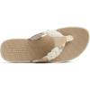 Sperry womens Parrotfish(Beige)