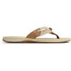 Sperry womens Parrotfish(Brown)