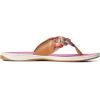 Sperry womens Parrotfish(Multicolor)