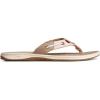 Sperry womens Sea Fish(Multi)