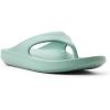 Sperry mens Flow Flip Flop Sandal(Light Green)