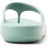 Sperry mens Flow Flip Flop Sandal(Light Green)