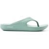 Sperry mens Flow Flip Flop Sandal(Light Green)