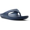 Sperry mens Flow Flip Flop Sandal(Navy)