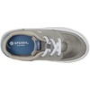 Sperry Boys’ Boardwalk Sneaker Washable (Little Kid/Big Kid)(Grey)