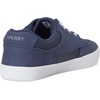 Sperry Boys’ Boardwalk Sneaker Washable (Little Kid/Big Kid)(Navy 1)