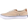 Sperry Boy’s CVO Striper Ii (Little Big Kid) Sneaker(Irish Cream Canvas)