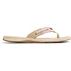 Sperry Women’s Seafish Leather Flip Flop Sandal(Rose)