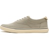 Sperry Mens Helm CVO Canvas Sneaker(Mid Grey)