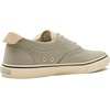 Sperry Mens Helm CVO Canvas Sneaker(Mid Grey)