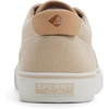Sperry Mens Helm CVO Canvas Sneaker(Taupe)